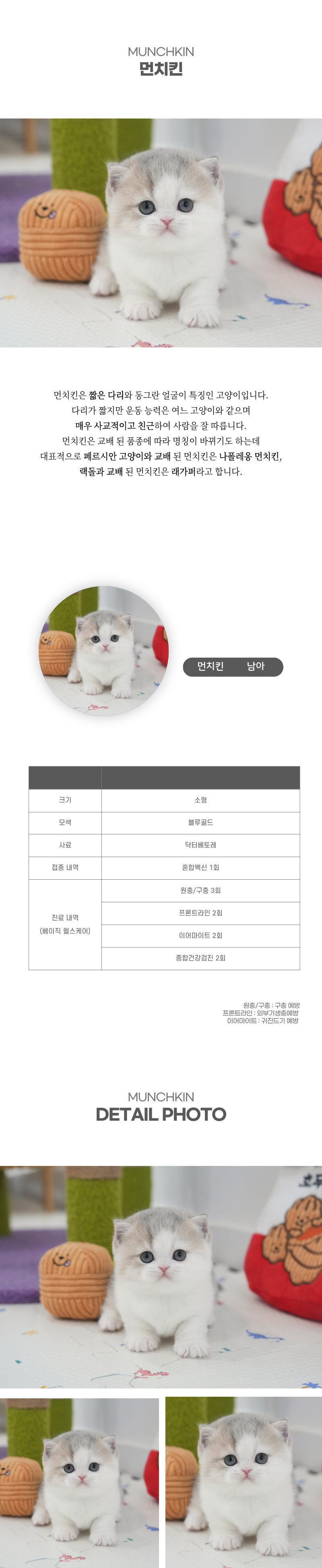 먼치킨_상세이미지_2